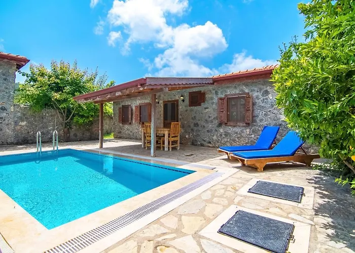 Villa Tek Katli Havuzu Korunakli